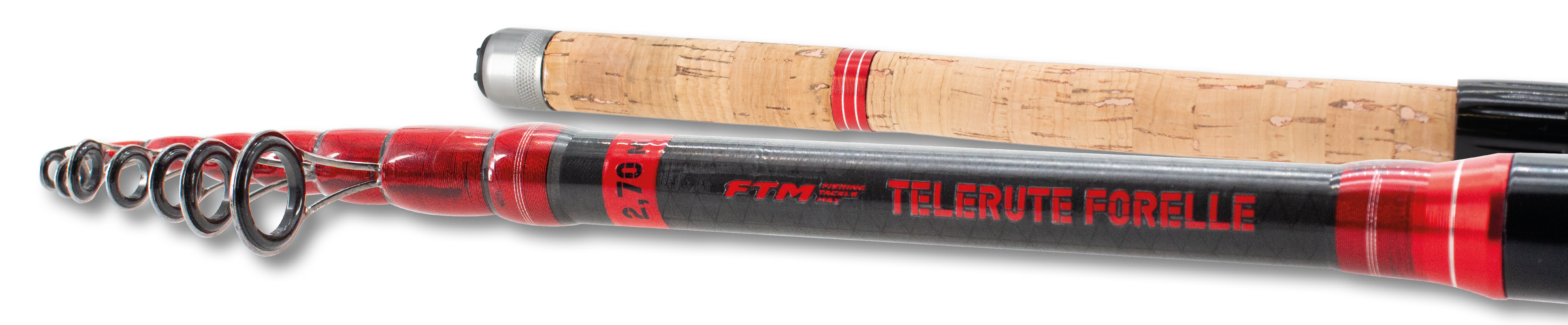 3102321 - 05 Telerute Forelle comp1all