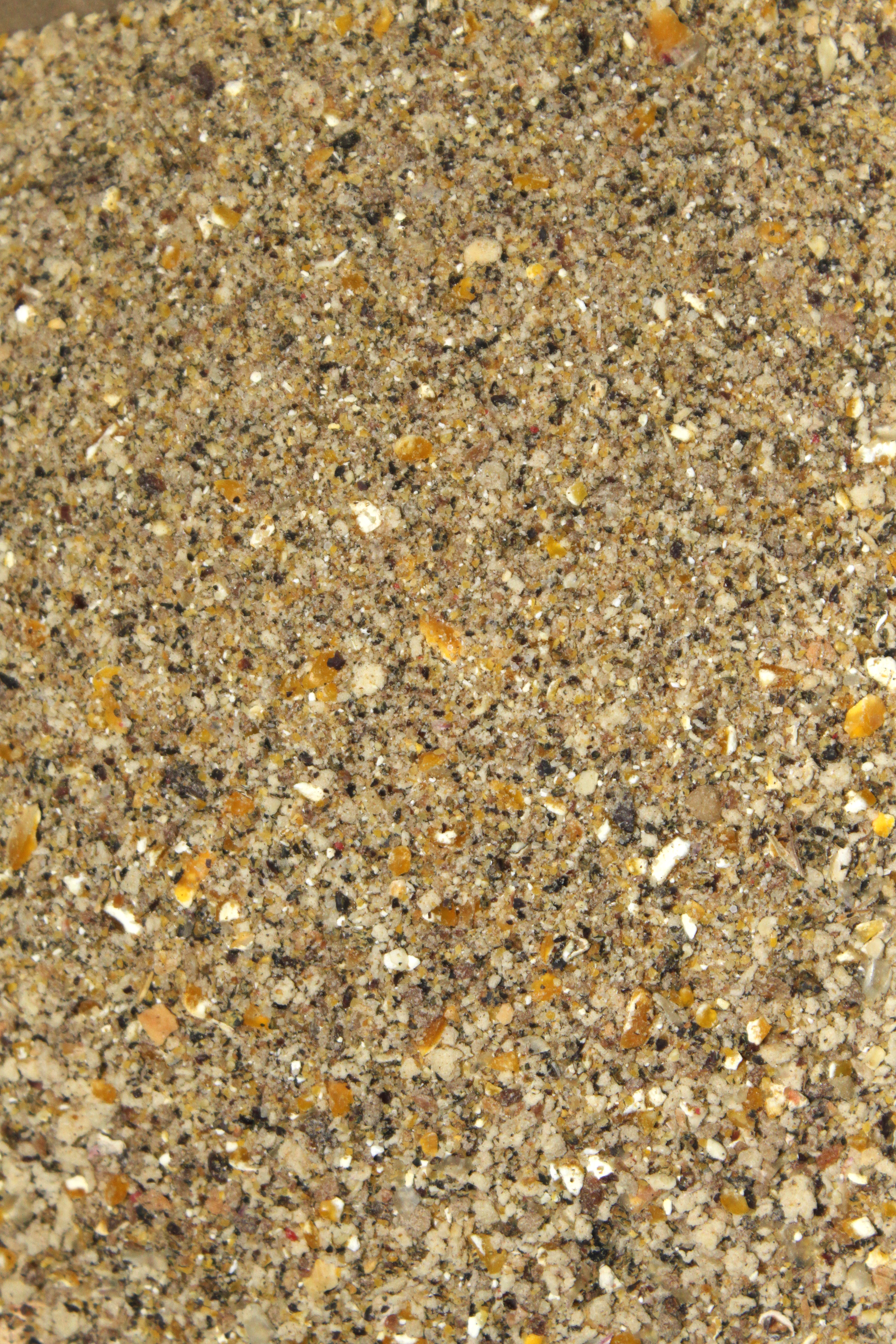 7103052 - 01 Karpfen Magnet