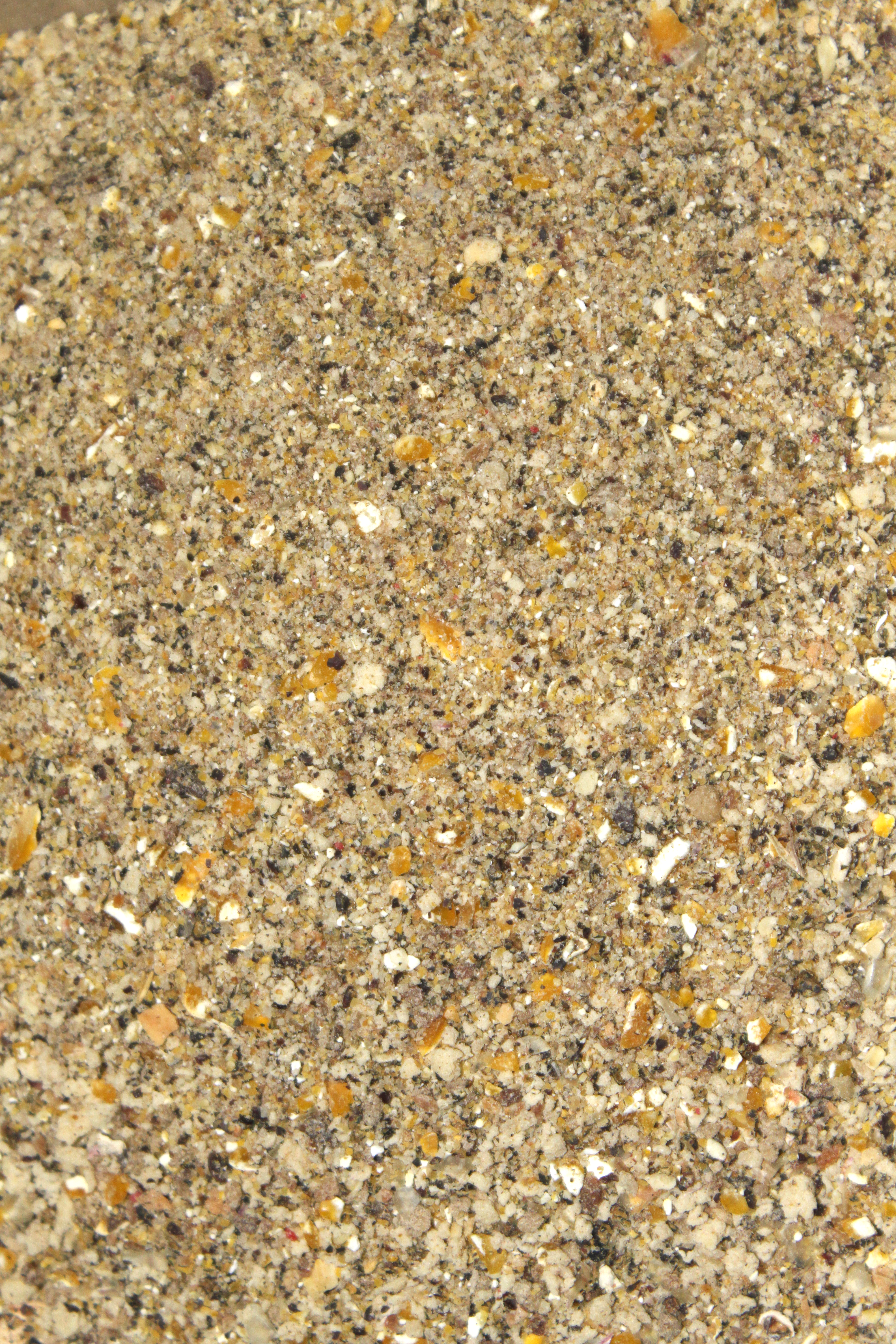 7103052 - 01 Karpfen Magnet