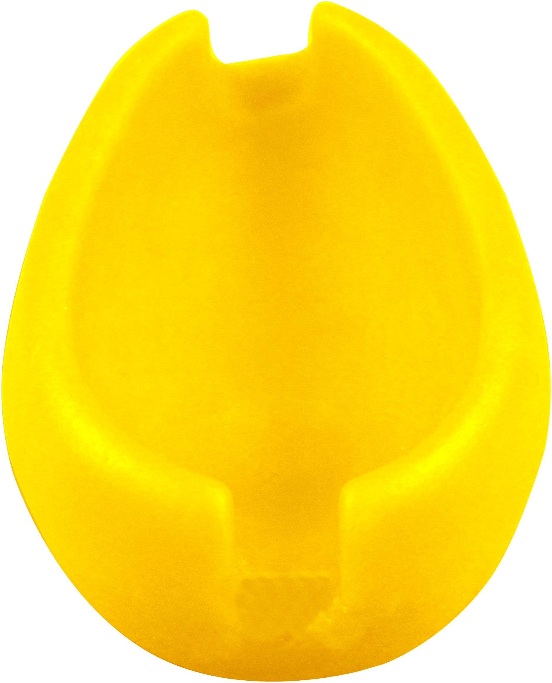 6063010 - 00 Method Form