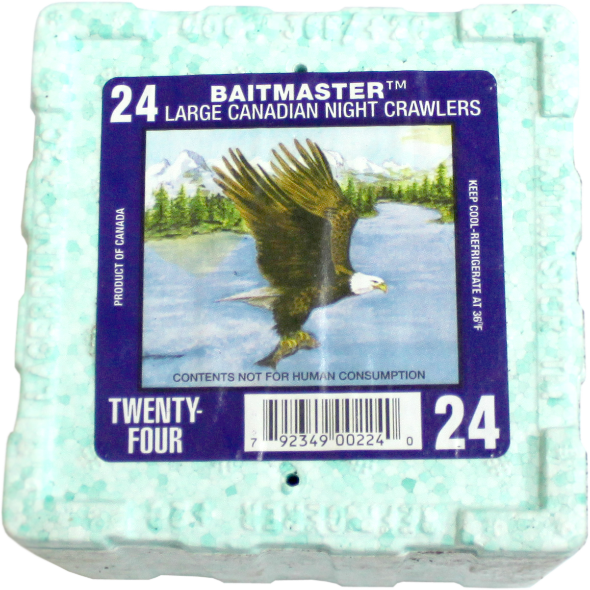 1000003 - 00 Tauwurm NBC 24er verpackt