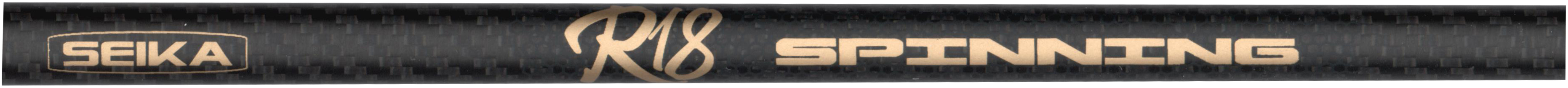 3303879 - 04 R18 Spinning Logo