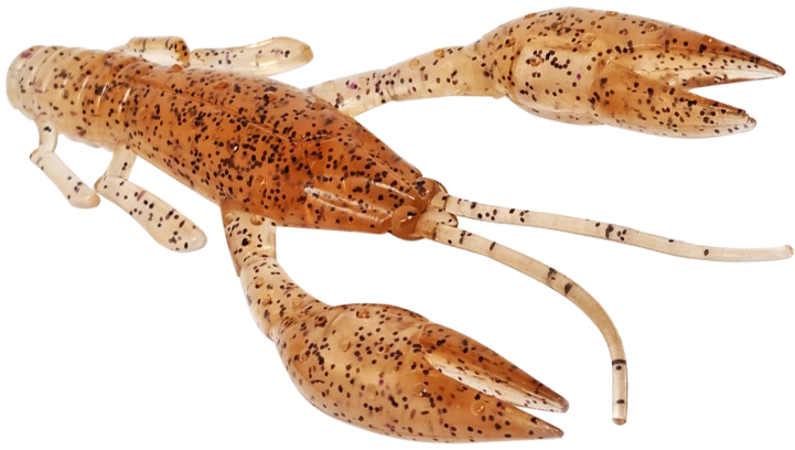 8916131 - 00 Krawallo Craw