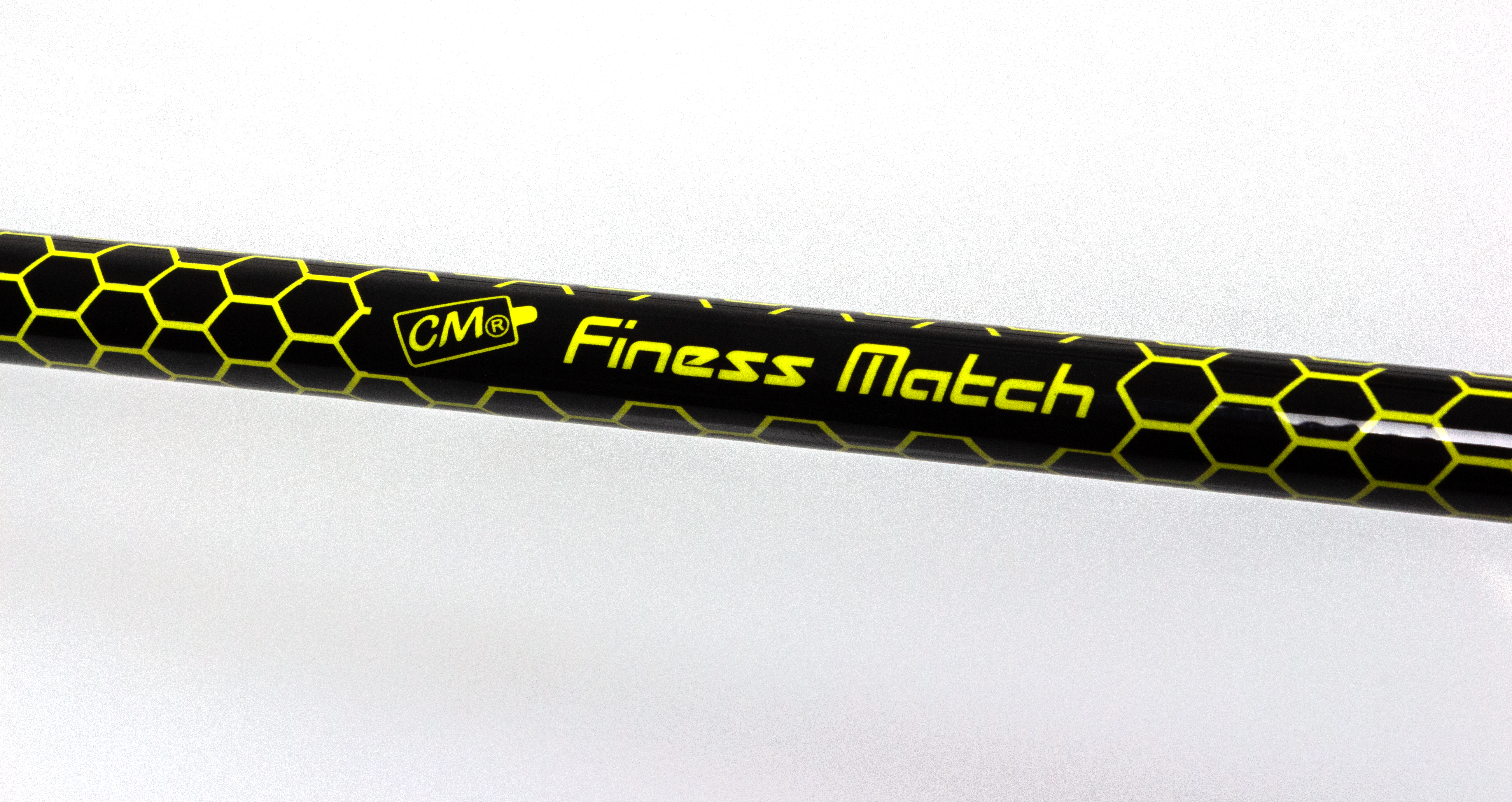 3300307 - 02 Finess Match